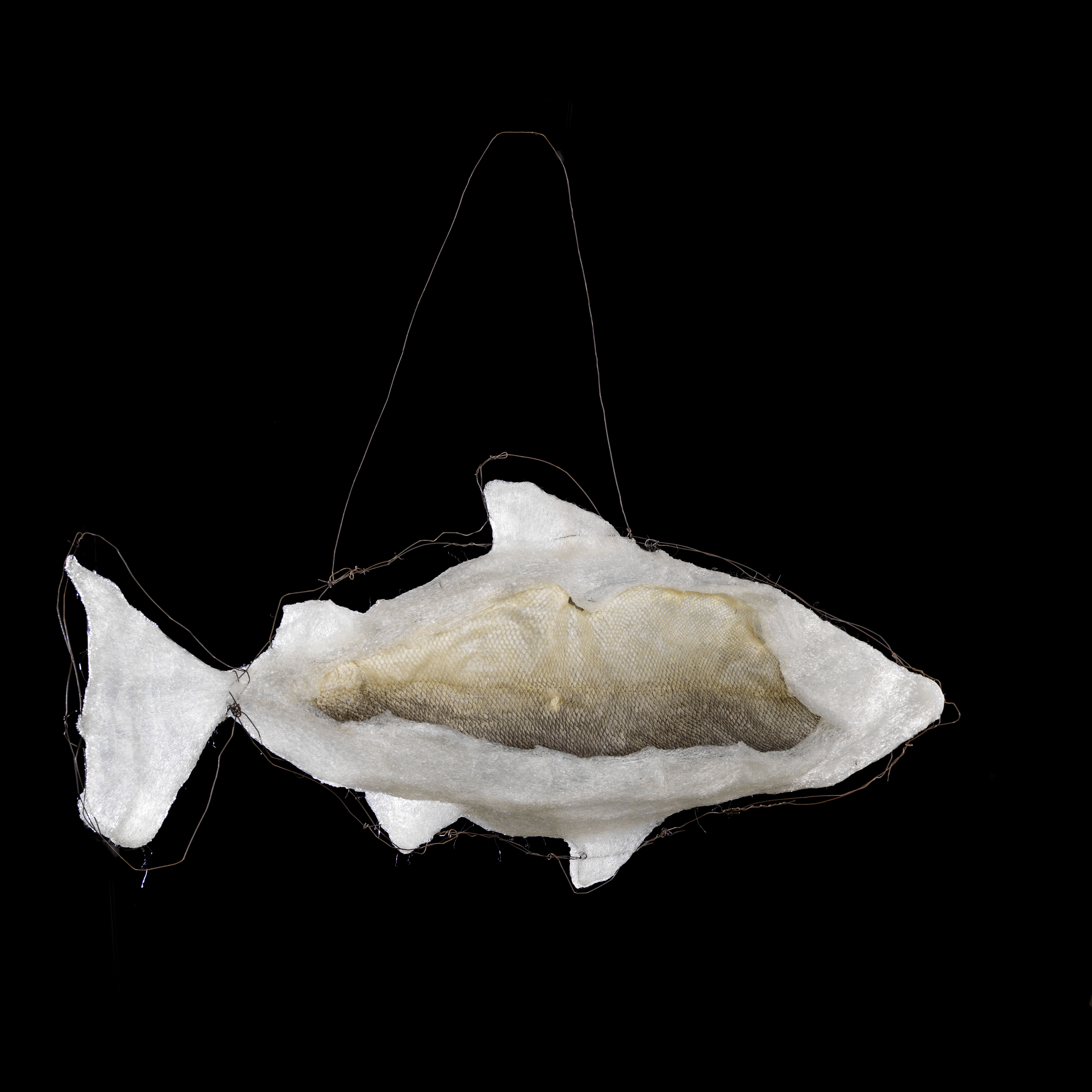 Fish, 2019 (sold)